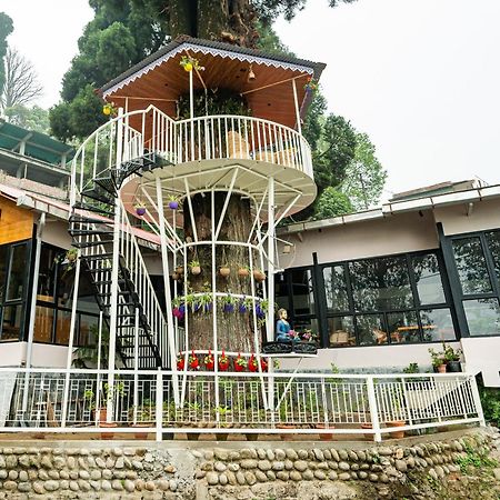 Arcadia Heritage Resort Dardżyling Zewnętrze zdjęcie